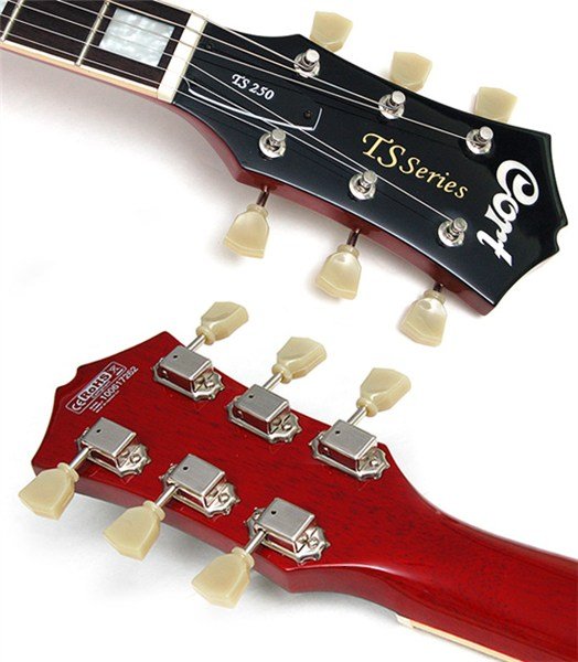 CORT - TS250 VB