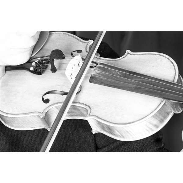 Prodipe VL21 Kondenser Keman ve Viyola Mikrofonu