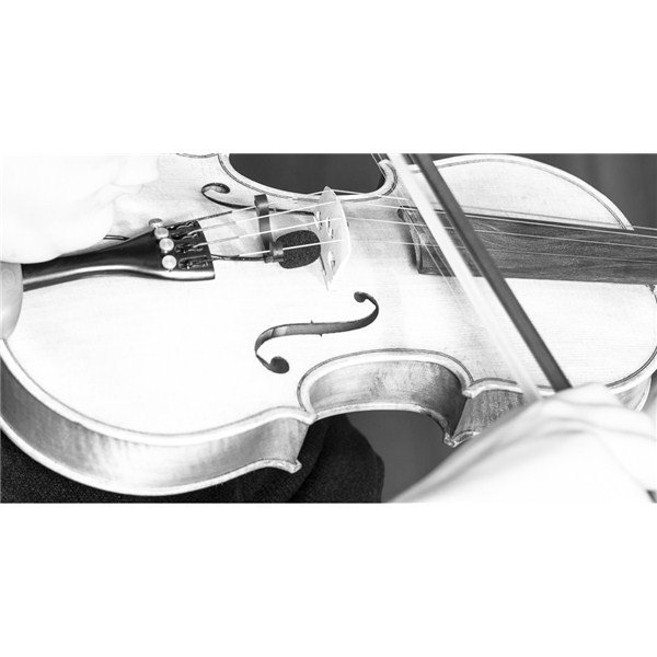 Prodipe VL21 Kondenser Keman ve Viyola Mikrofonu