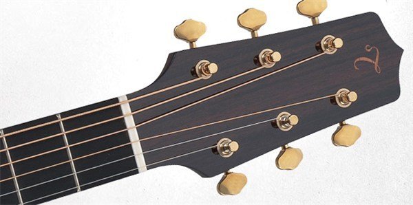 Takamine TF360SBG Elektro Akustik Gitar