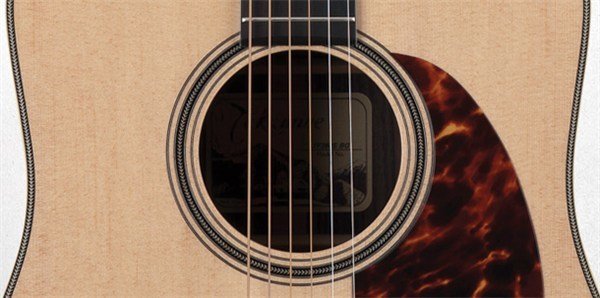 Takamine TF360SBG Elektro Akustik Gitar