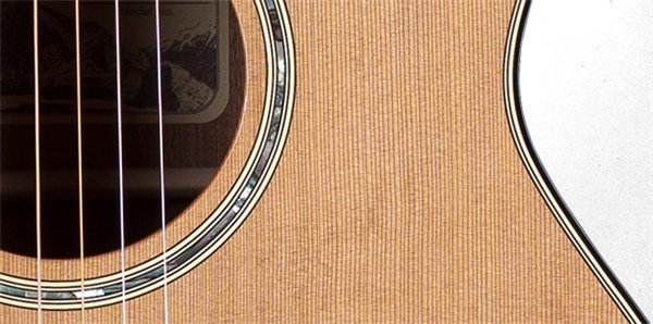 Takamine TF740FS Akustik Gitar