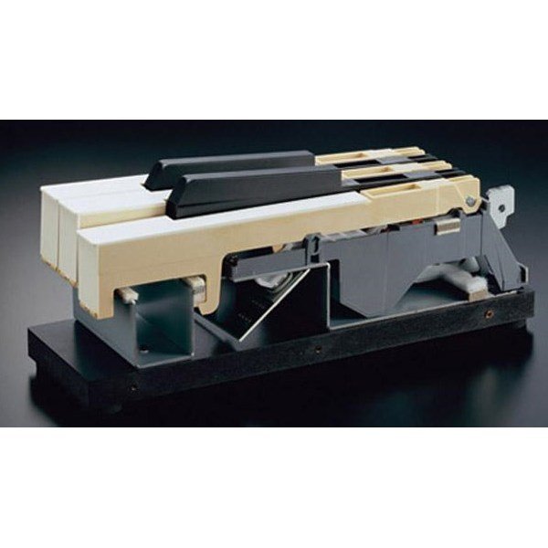 Roland RG-3F-PE Dijital Grand Piyano