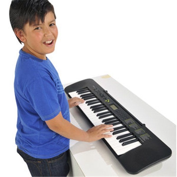 Casio CTK 240 Org