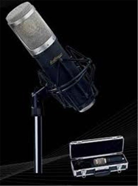LD Systems D 1122 Condenser Studyo Kayıt Mikrofonu
