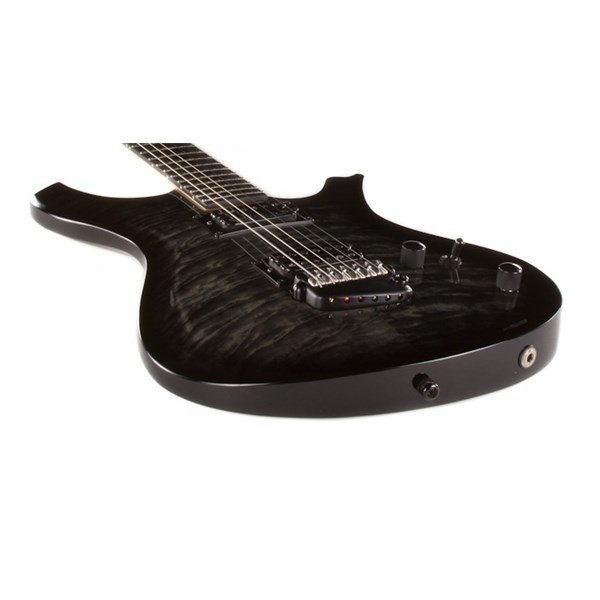 Parker PDF100QBB Elektro Gitar
