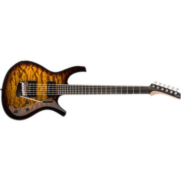 Parker PDF100QV SB Elektro Gitar