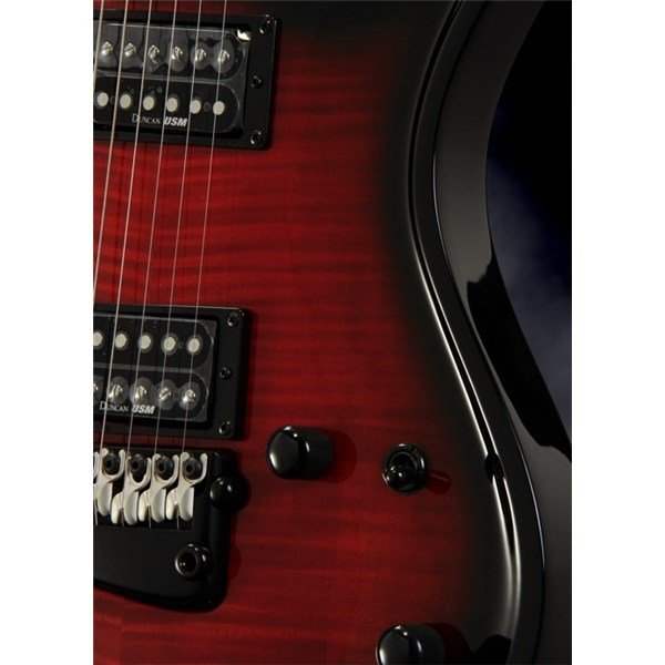 Parker PDF80FWSB Elektro Gitar