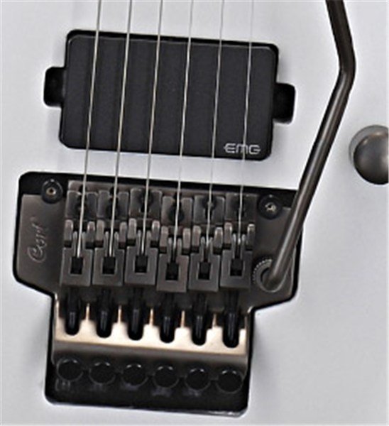 CORT VIVA CUSTOM WP