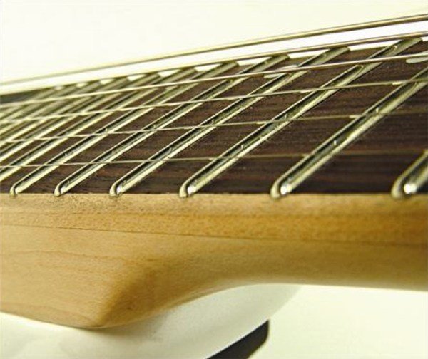 CORT VIVA CUSTOM WP