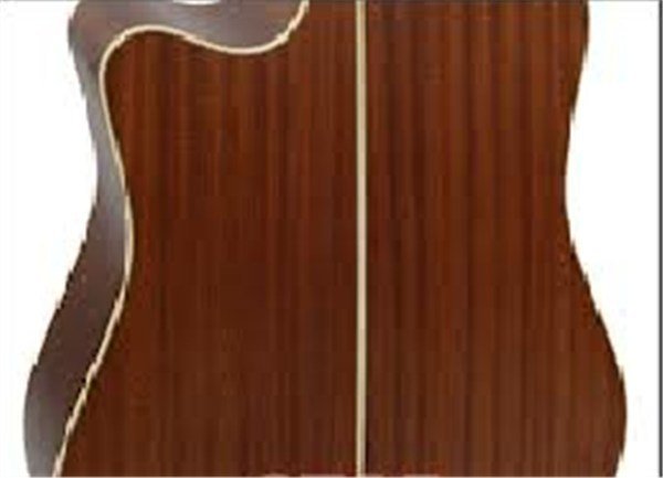 Takamine P4DC Elektro Akustik Gitar