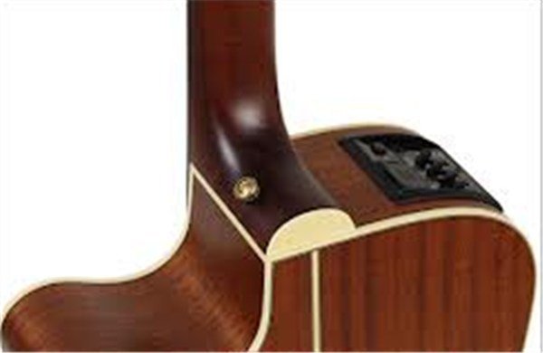 Takamine P4DC Elektro Akustik Gitar