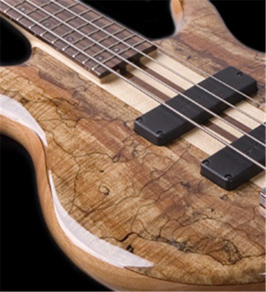 CORT - A5 CUSTOM SP NAT