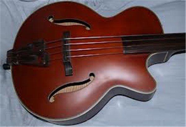 Takamine TB10 Akustik Bas Gitar