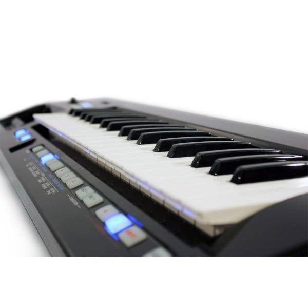 Roland AX09BK Synthesizer Klavye