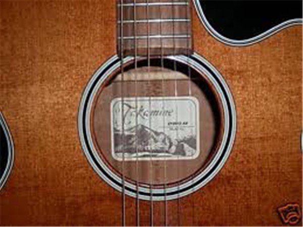 Takamine EF261SAN Elektro Akustik Gitar