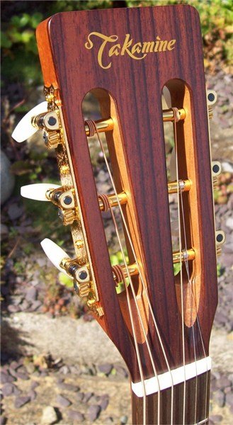 Takamine EF407 Elektro Akustik Gitar