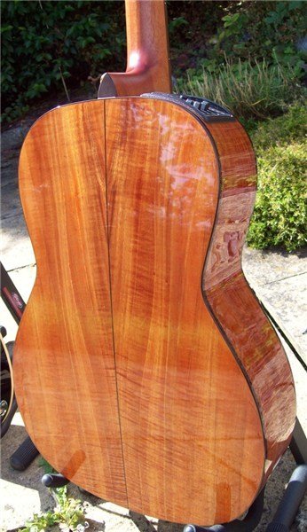 Takamine EF407 Elektro Akustik Gitar