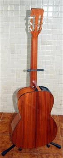 Takamine EF407 Elektro Akustik Gitar