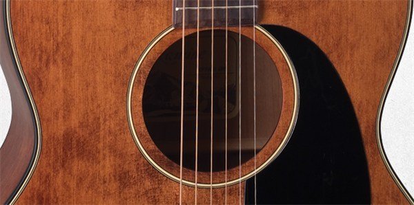 Takamine EF740SGN Elektro Akustik Gitar