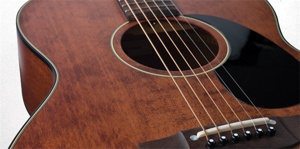 Takamine EF740SGN Elektro Akustik Gitar