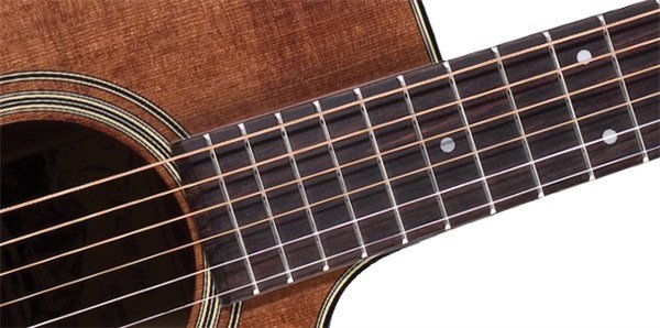 Takamine EF340SCGN Elektro Akustik Gitar