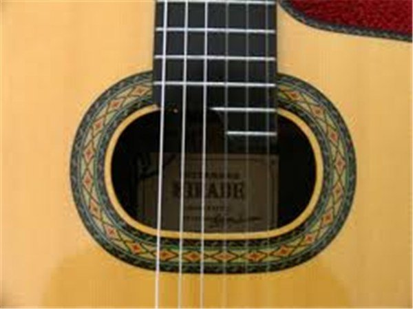 Takamine TH90 Elektro Klasik Gitar