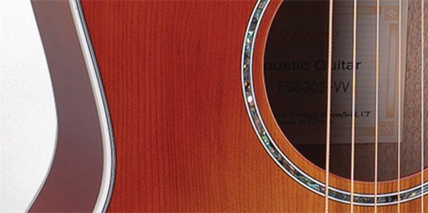 Takamine EG630S-VV Elektro Akustik Gitar