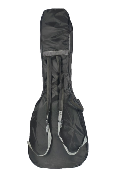 Provoice Kilitli Gitar Kılıfı