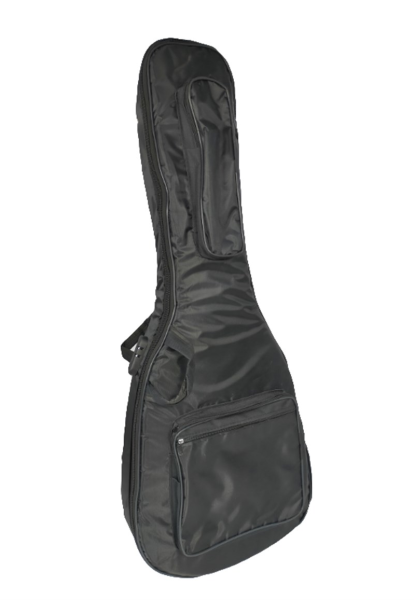 Provoice Kilitli Gitar Kılıfı