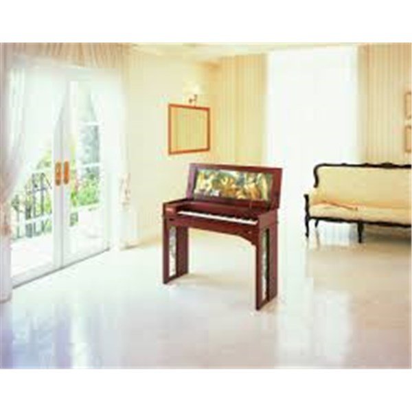 Roland OP-C30DP01 Dekoratif Penal