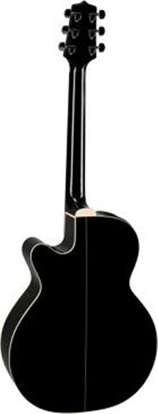 Takamine EG481SCX Elektro Akustik Gitar