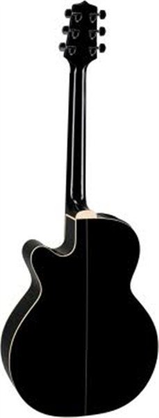 Takamine EG481SCX Elektro Akustik Gitar