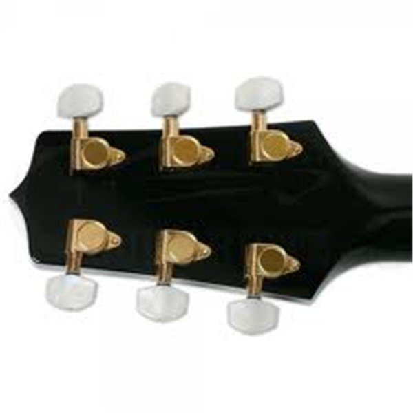 Takamine EG461SC Elektro Akustik Gitar