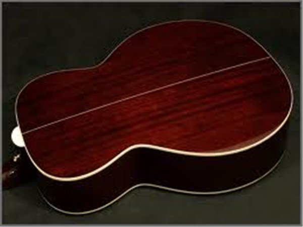 Takamine EG450DLX Elektro Akustik Gitar
