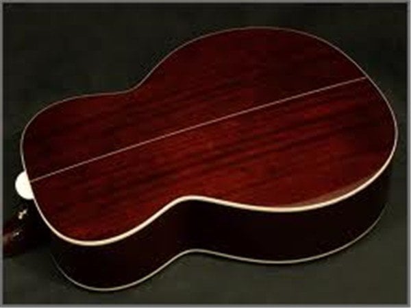 Takamine EG450DLX Elektro Akustik Gitar