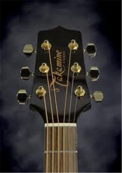 Takamine EG450DLX Elektro Akustik Gitar