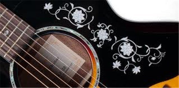 Takamine EG450DLX Elektro Akustik Gitar