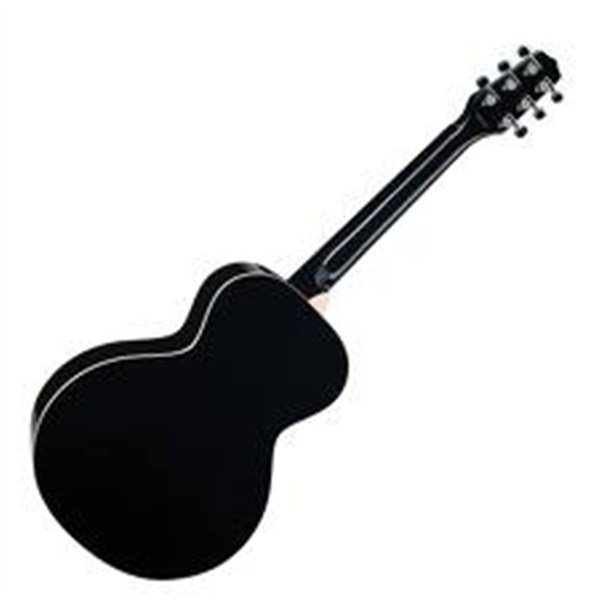 Takamine EG451DLX Elektro Akustik Gitar