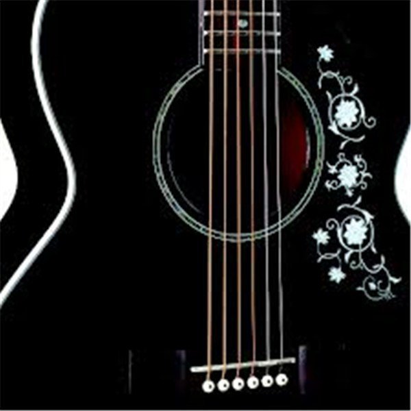 Takamine EG451DLX Elektro Akustik Gitar