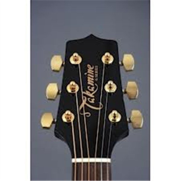 Takamine EG451DLX Elektro Akustik Gitar