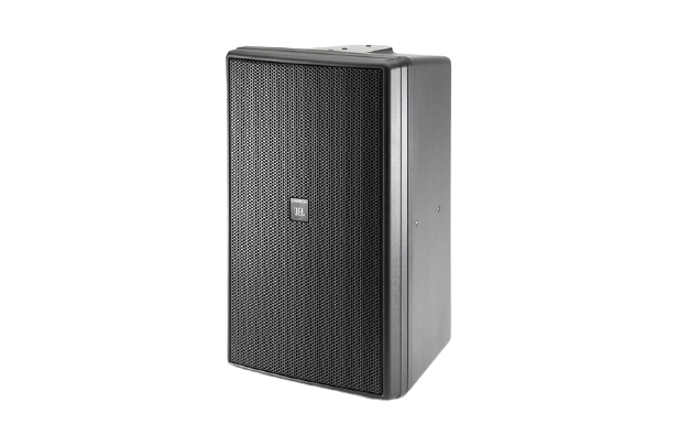 Jbl Control-30 3 Yollu 10'' İç Dış Mekan Hoparlörü 250 Watt