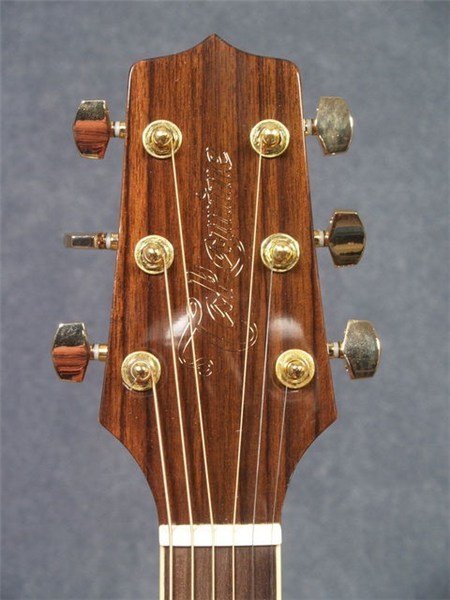Takamine EG50th Elektro Akustik Gitar