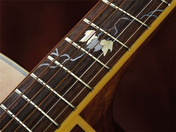 Takamine EG50th Elektro Akustik Gitar