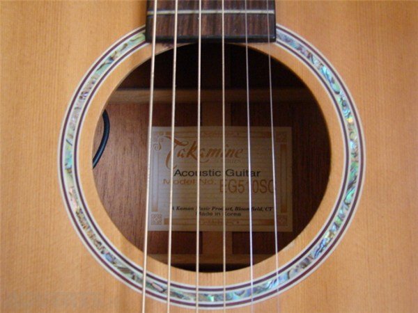 Takamine EG510SC Elektro Akustik Gitar