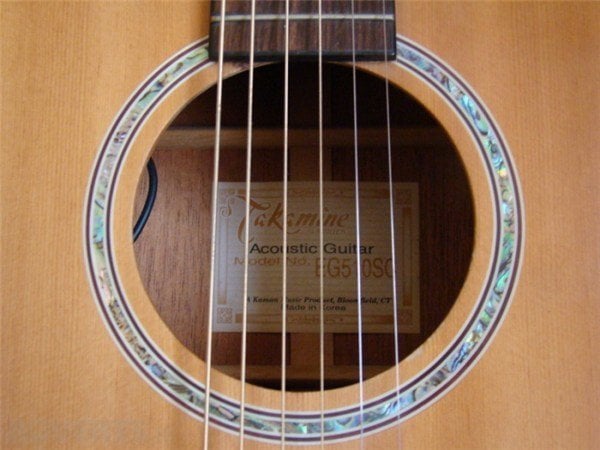 Takamine EG510SC Elektro Akustik Gitar
