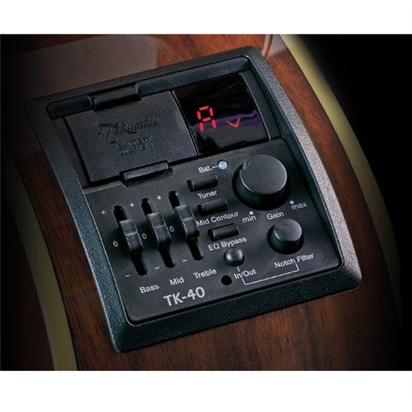 Takamine EG510SC Elektro Akustik Gitar