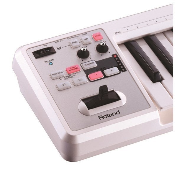 Roland A-49 WH