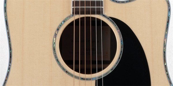 Takamine EG360SC Elektro Akustik Gitar