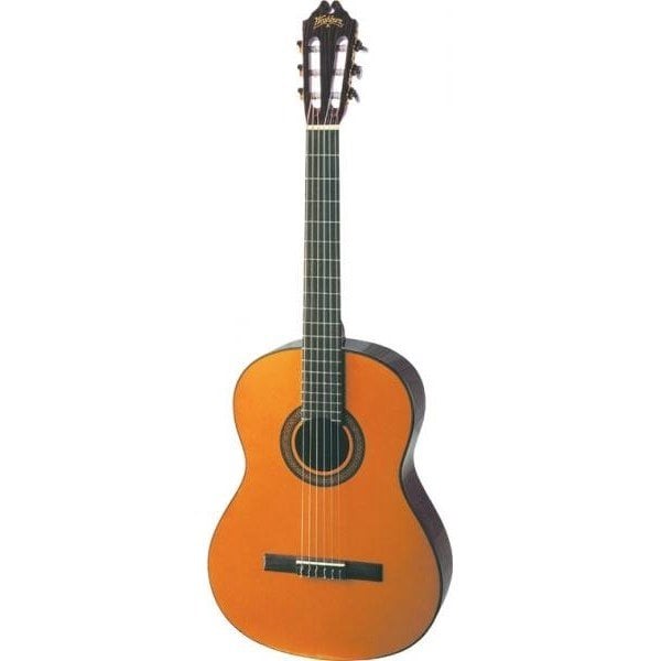 Washburn C155 Klasik Gitar